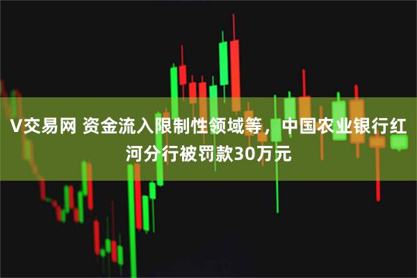 V交易网 资金流入限制性领域等，中国农业银行红河分行被罚款30万元