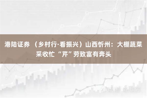 港陆证券 （乡村行·看振兴）山西忻州：大棚蔬菜采收忙 “芹”劳致富有奔头