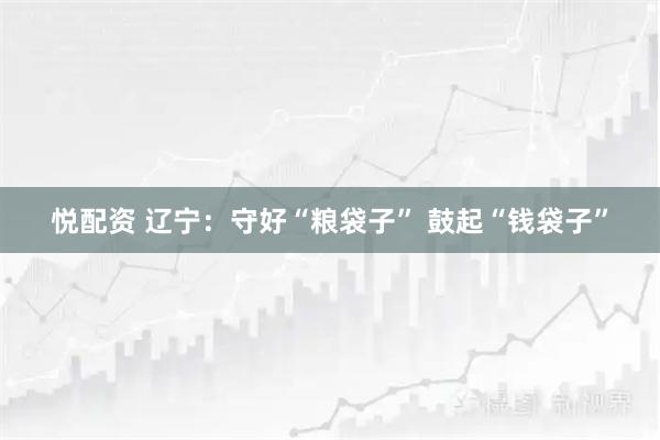 悦配资 辽宁：守好“粮袋子” 鼓起“钱袋子”