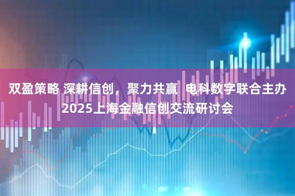 双盈策略 深耕信创，聚力共赢  电科数字联合主办2025上海金融信创交流研讨会
